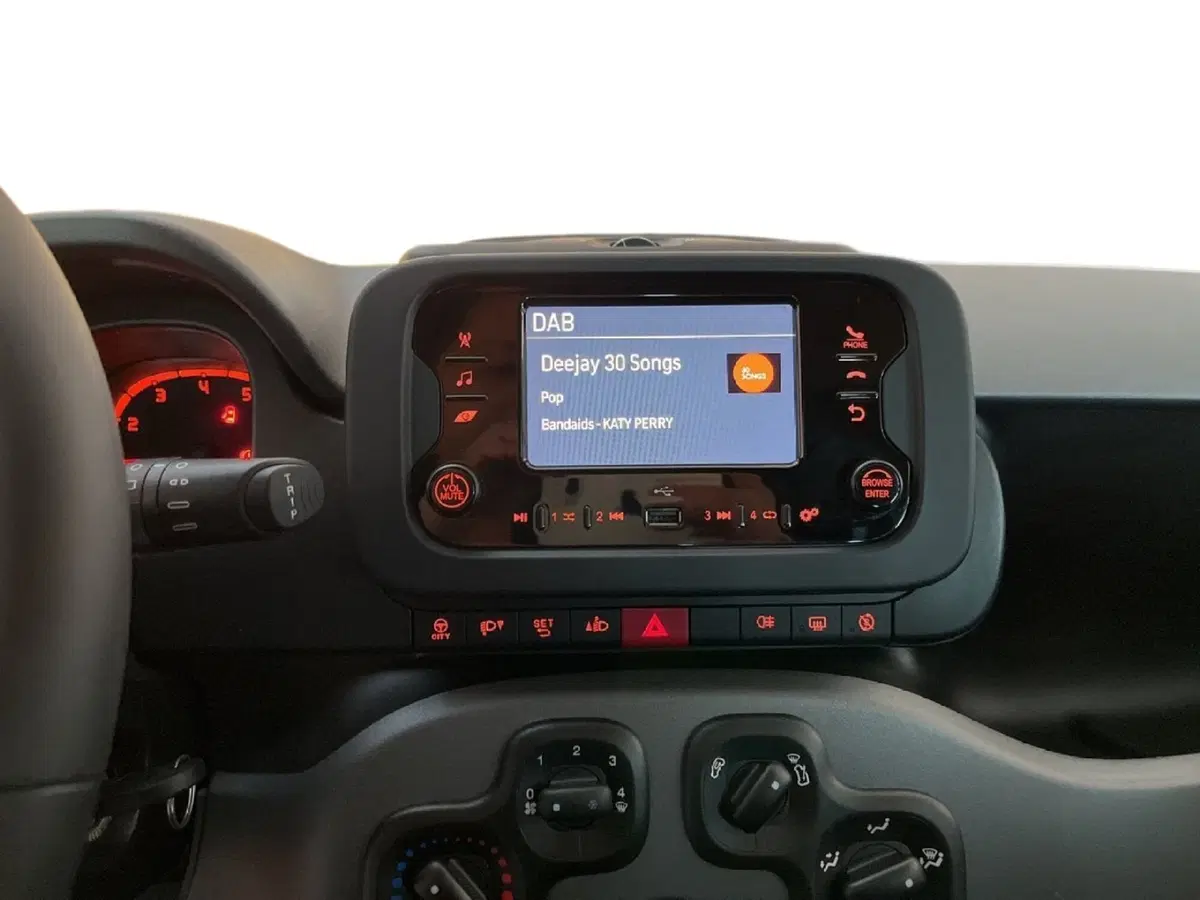 Fiat Panda Cross usata a Torino (11)