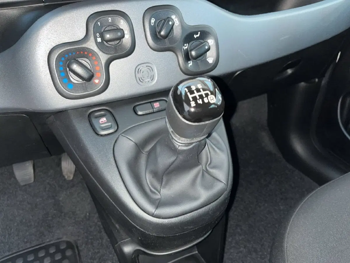 Fiat Panda Cross usata a Torino (12)