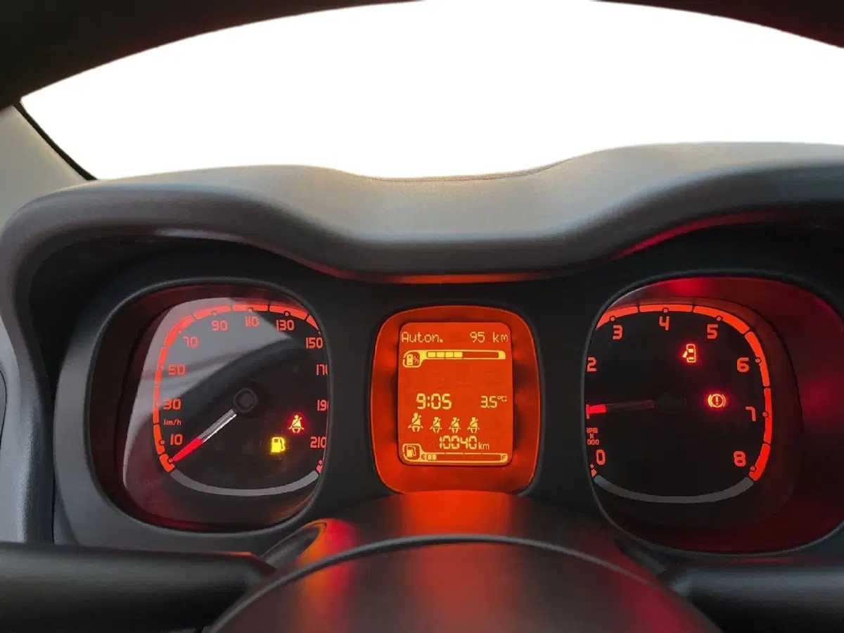 Fiat Panda Cross usata a Torino (13)