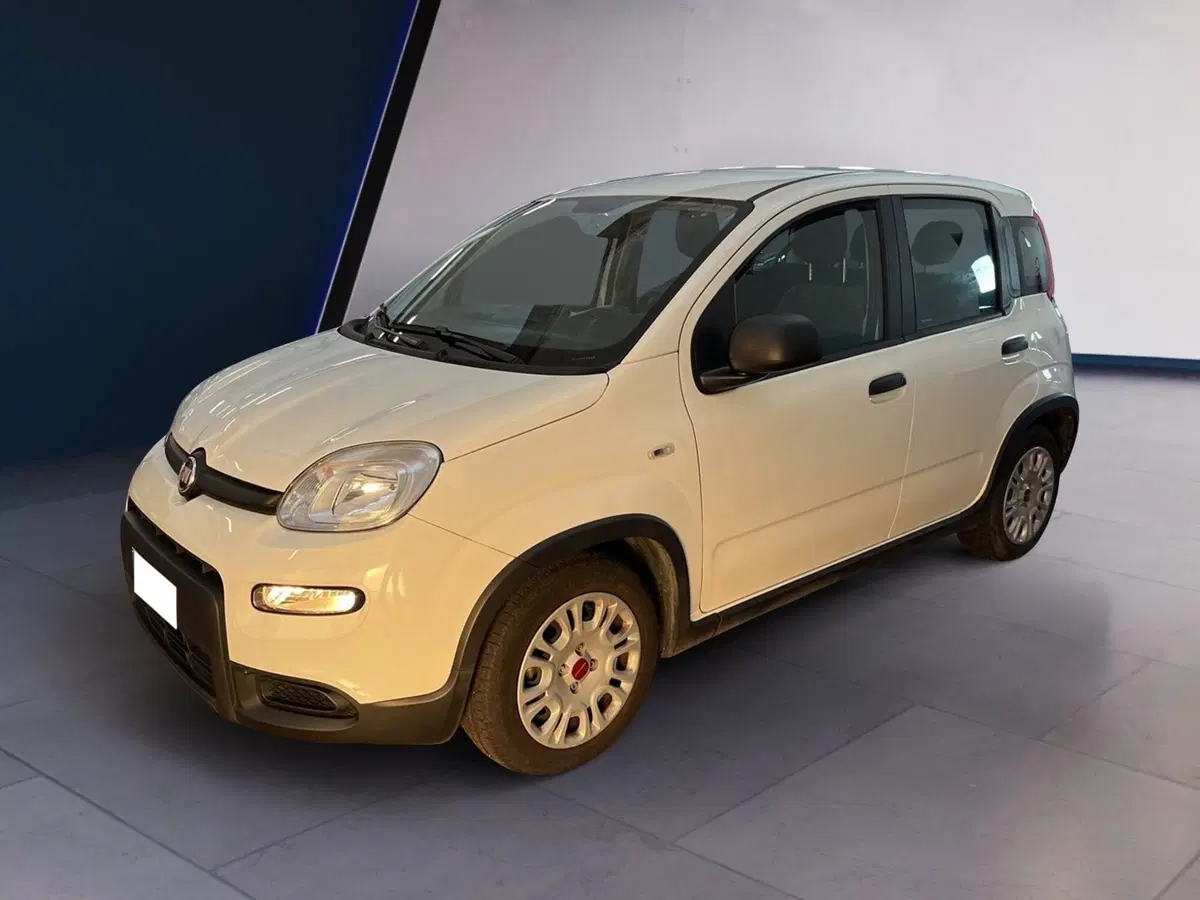 Fiat Panda Cross usata a Torino (2)