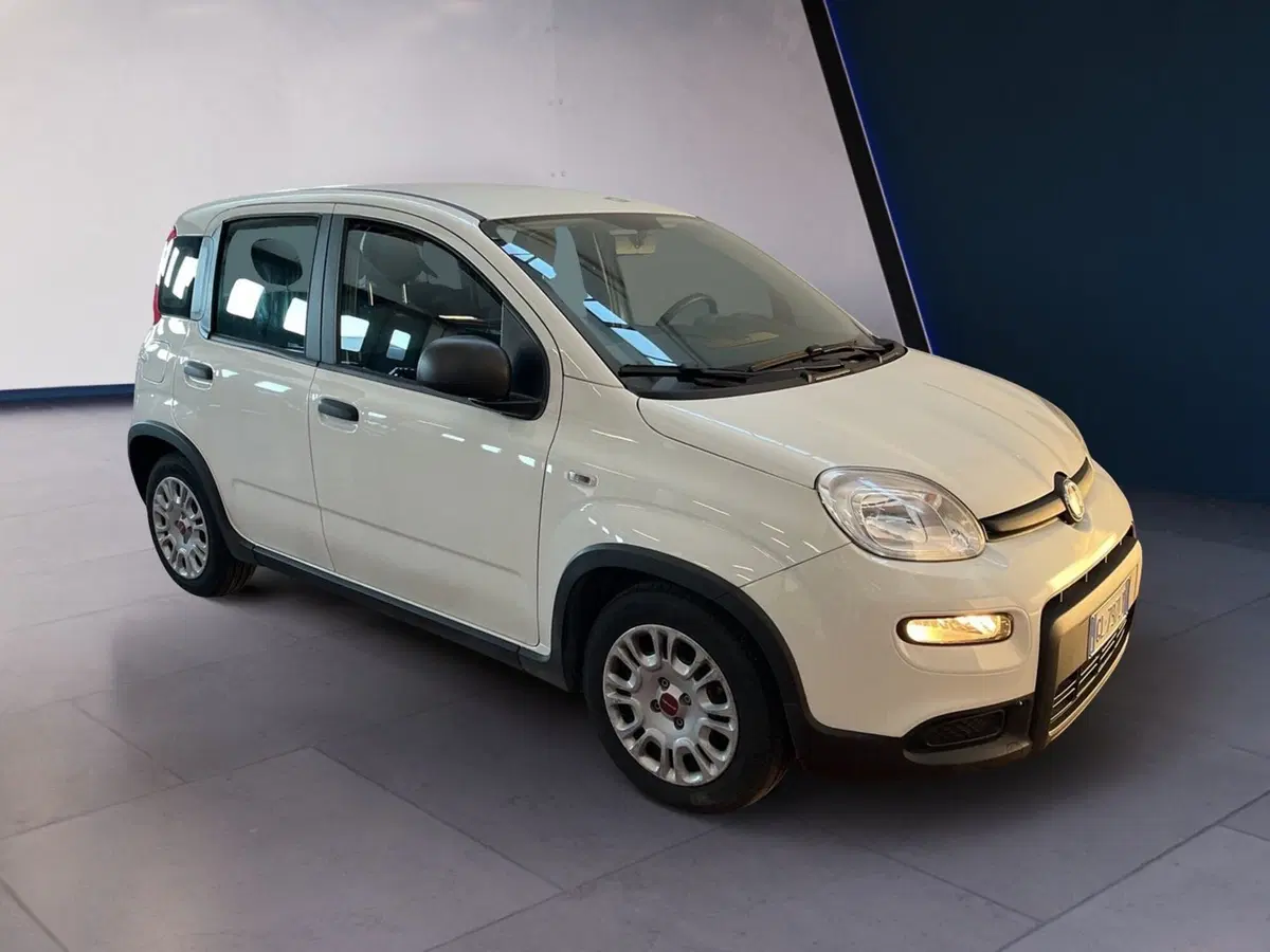 Fiat Panda Cross usata a Torino (3)