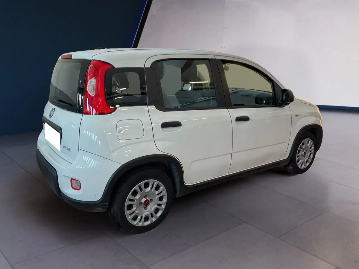 Fiat Panda Cross usata a Torino (4)