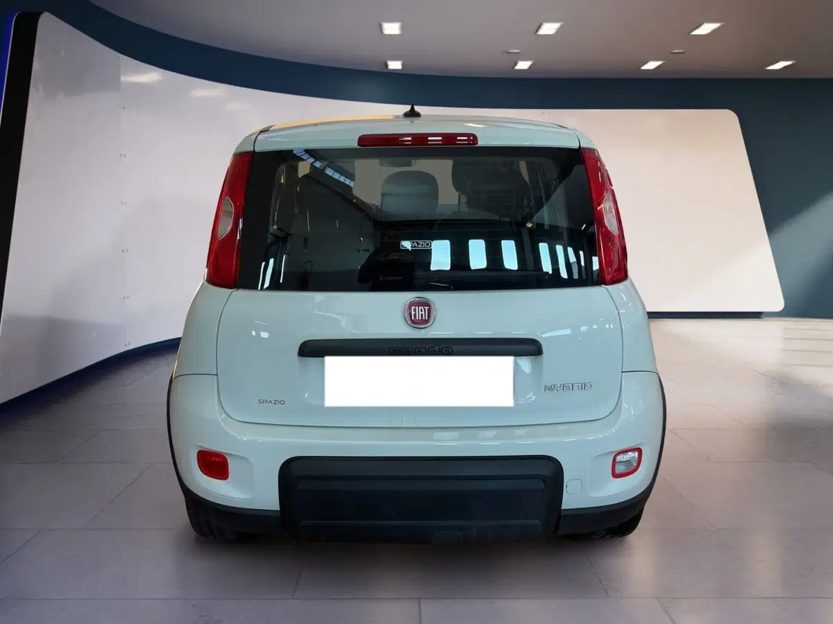Fiat Panda Cross usata a Torino (5)