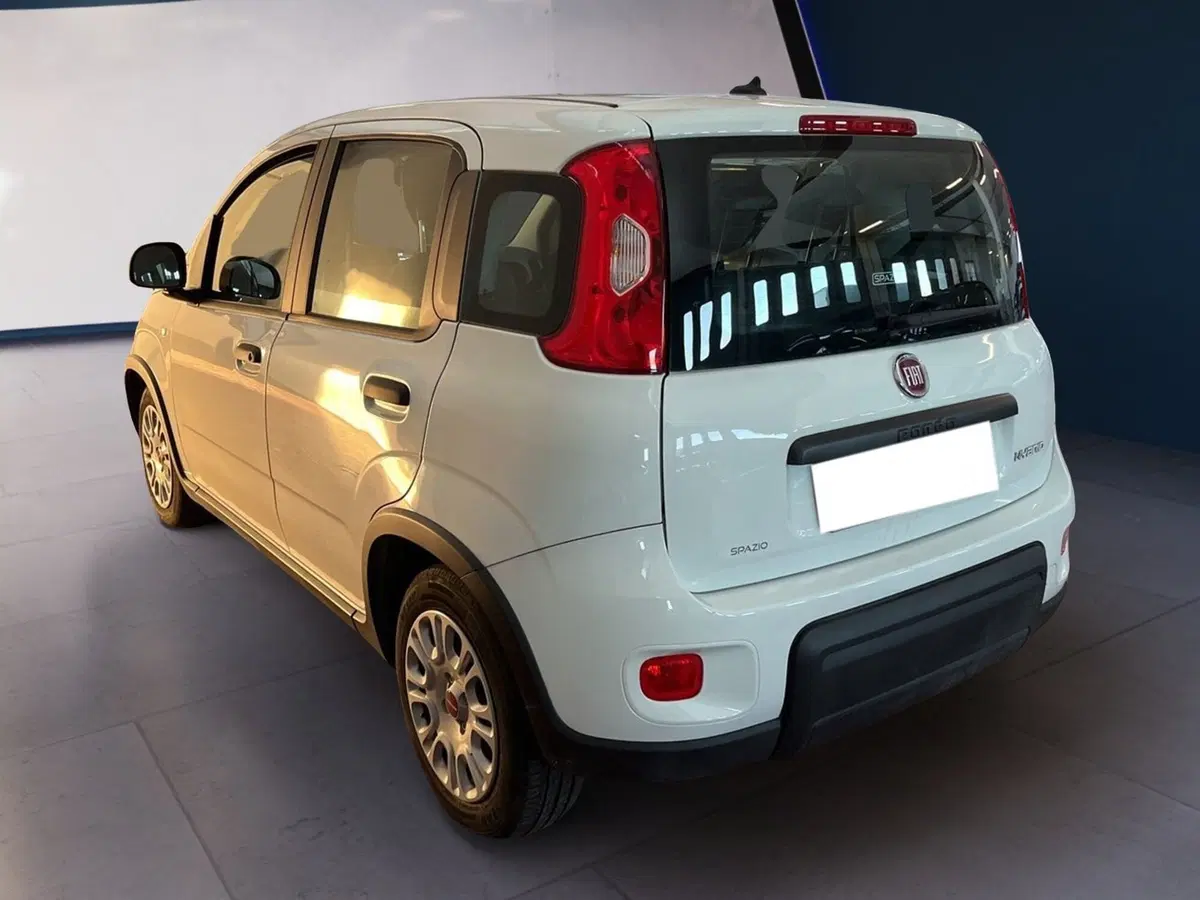 Fiat Panda Cross usata a Torino (6)