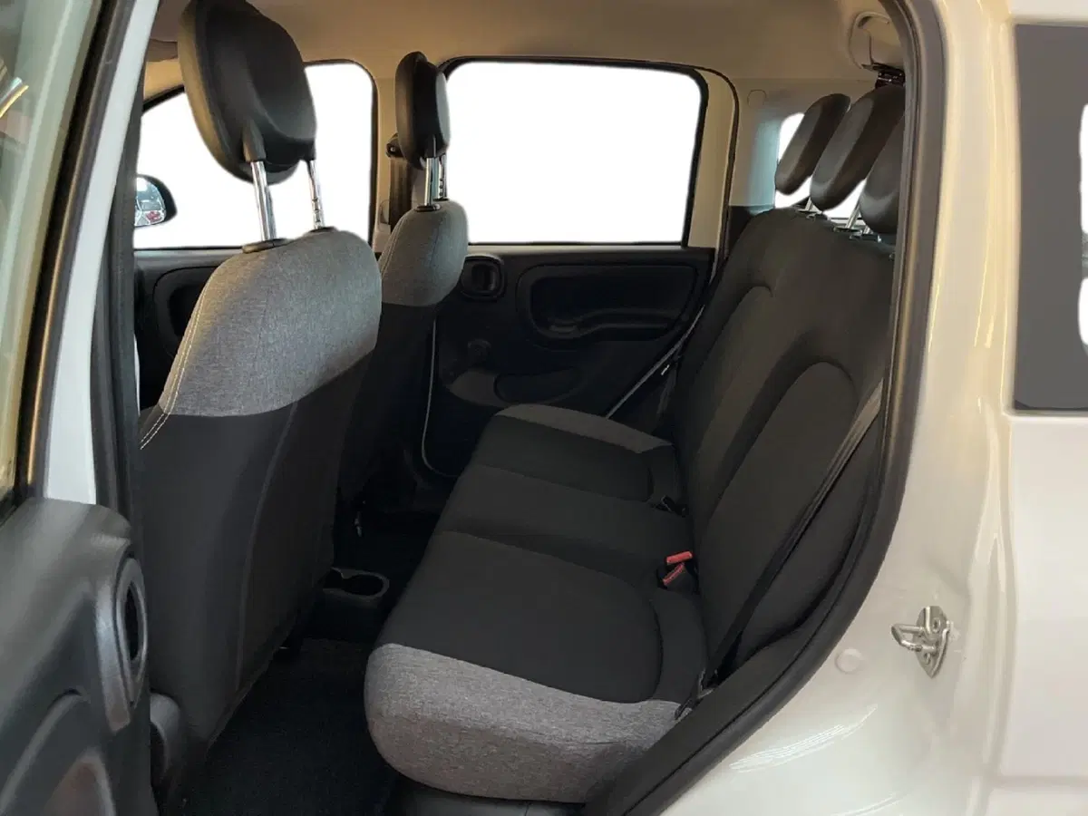 Fiat Panda Cross usata a Torino (7)