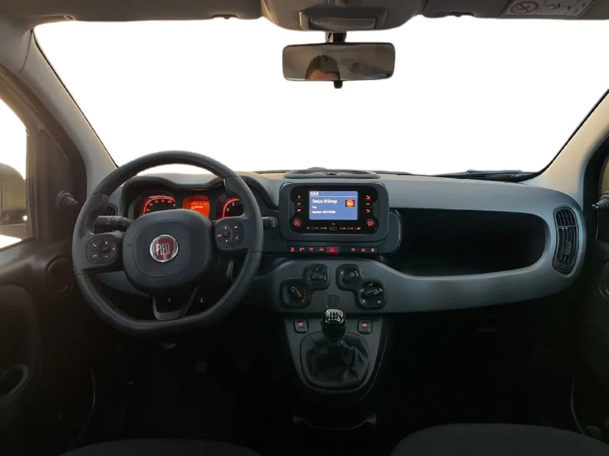 Fiat Panda Cross usata a Torino (9)