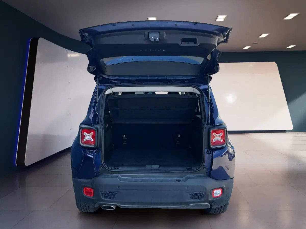 Jeep Renegade usata a Torino (7)