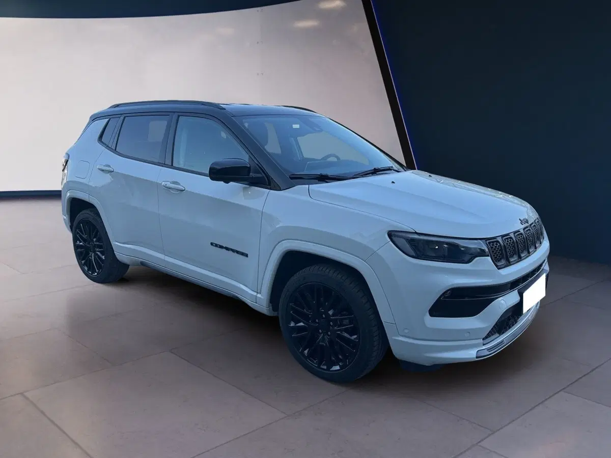 Jeep Compass usata a Torino (2)