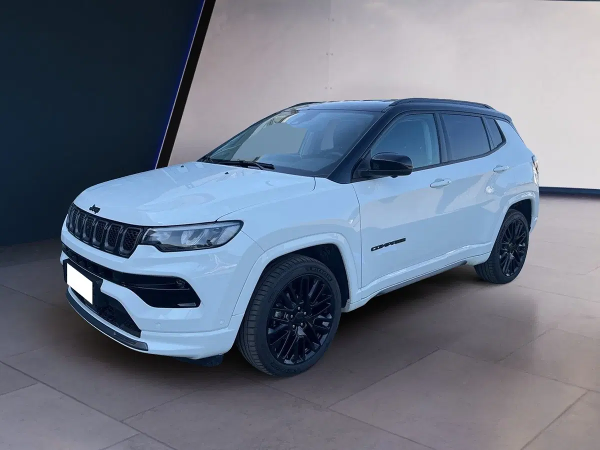 Jeep Compass usata a Torino (3)