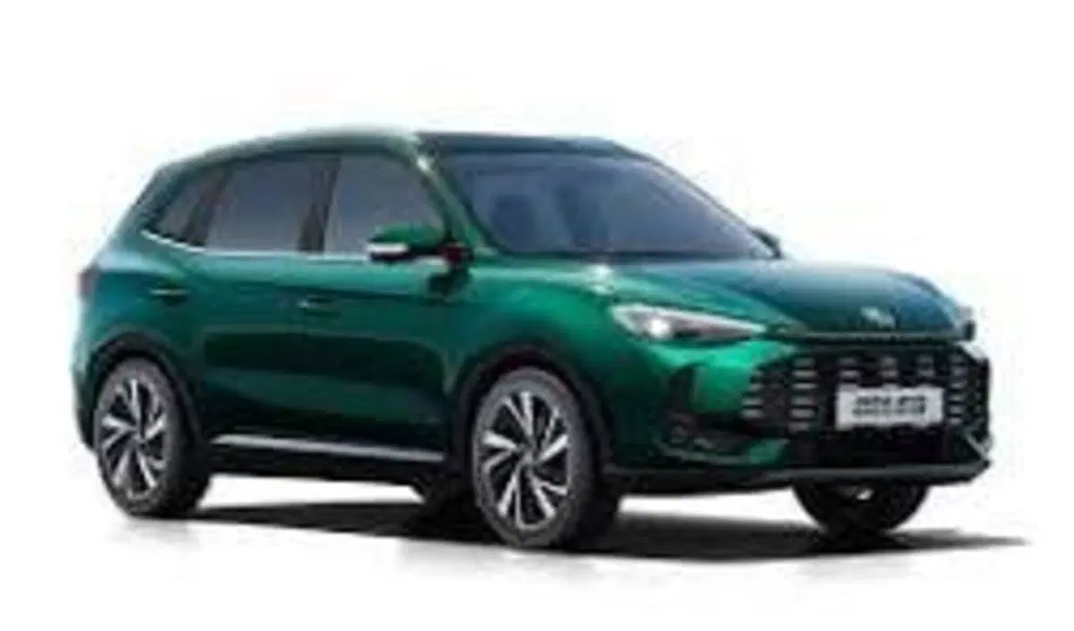 Mg ZS EV nuova a Torino