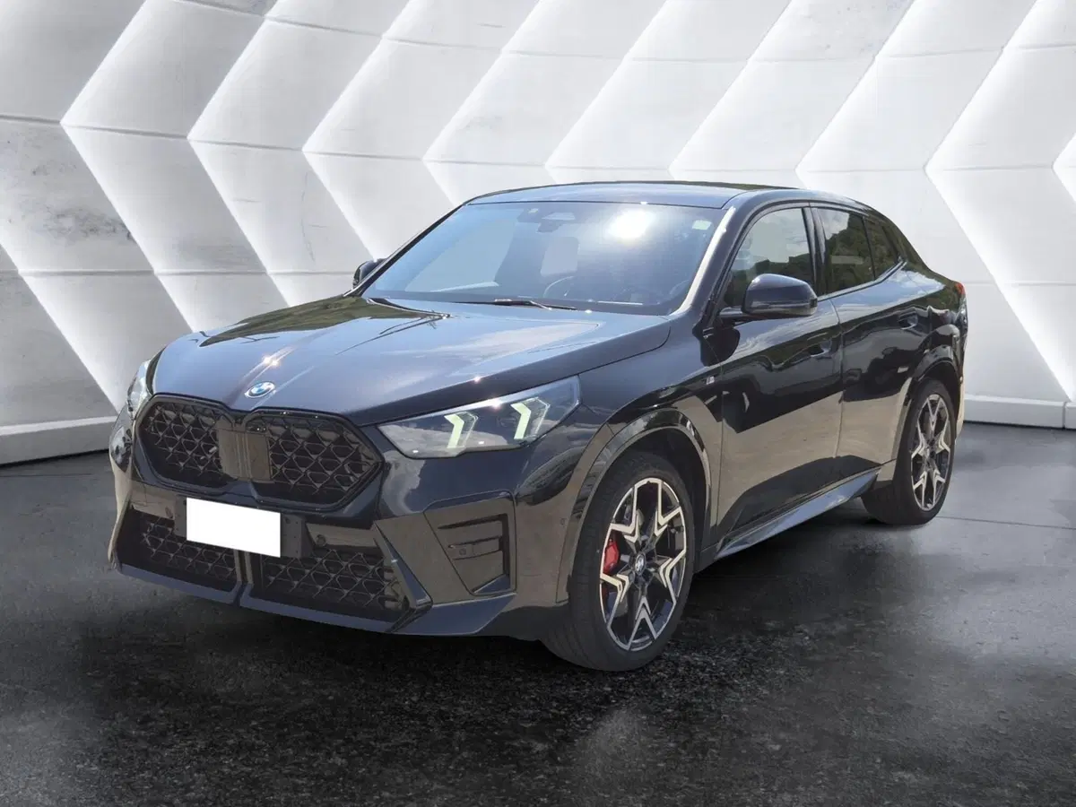 BMW X2 usata 