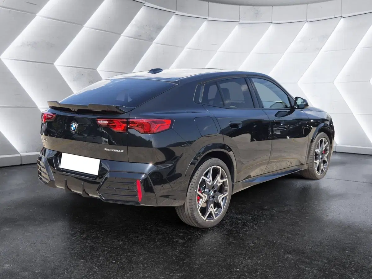 BMW X2 usata  (4)