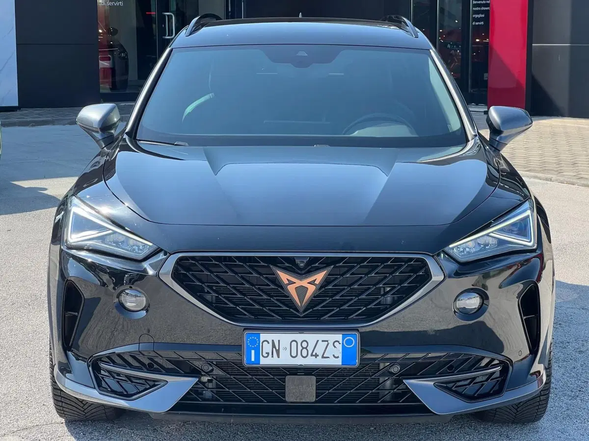 Cupra Formentor usata a Matera (4)