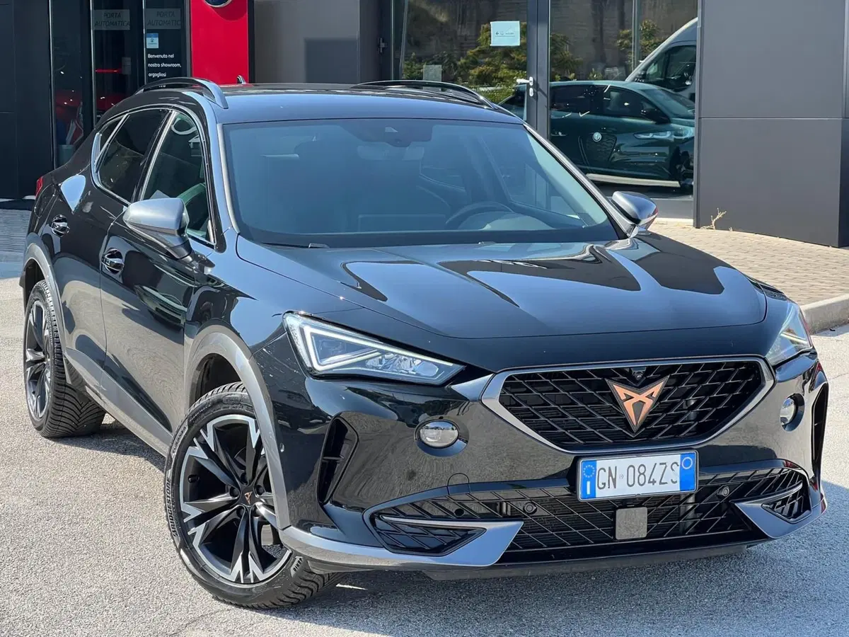 Cupra Formentor usata a Matera (5)