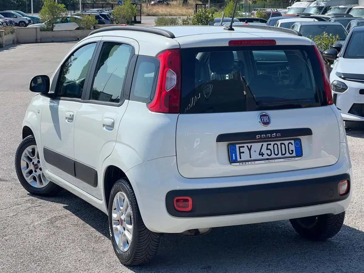Fiat Panda usata a Matera (9)