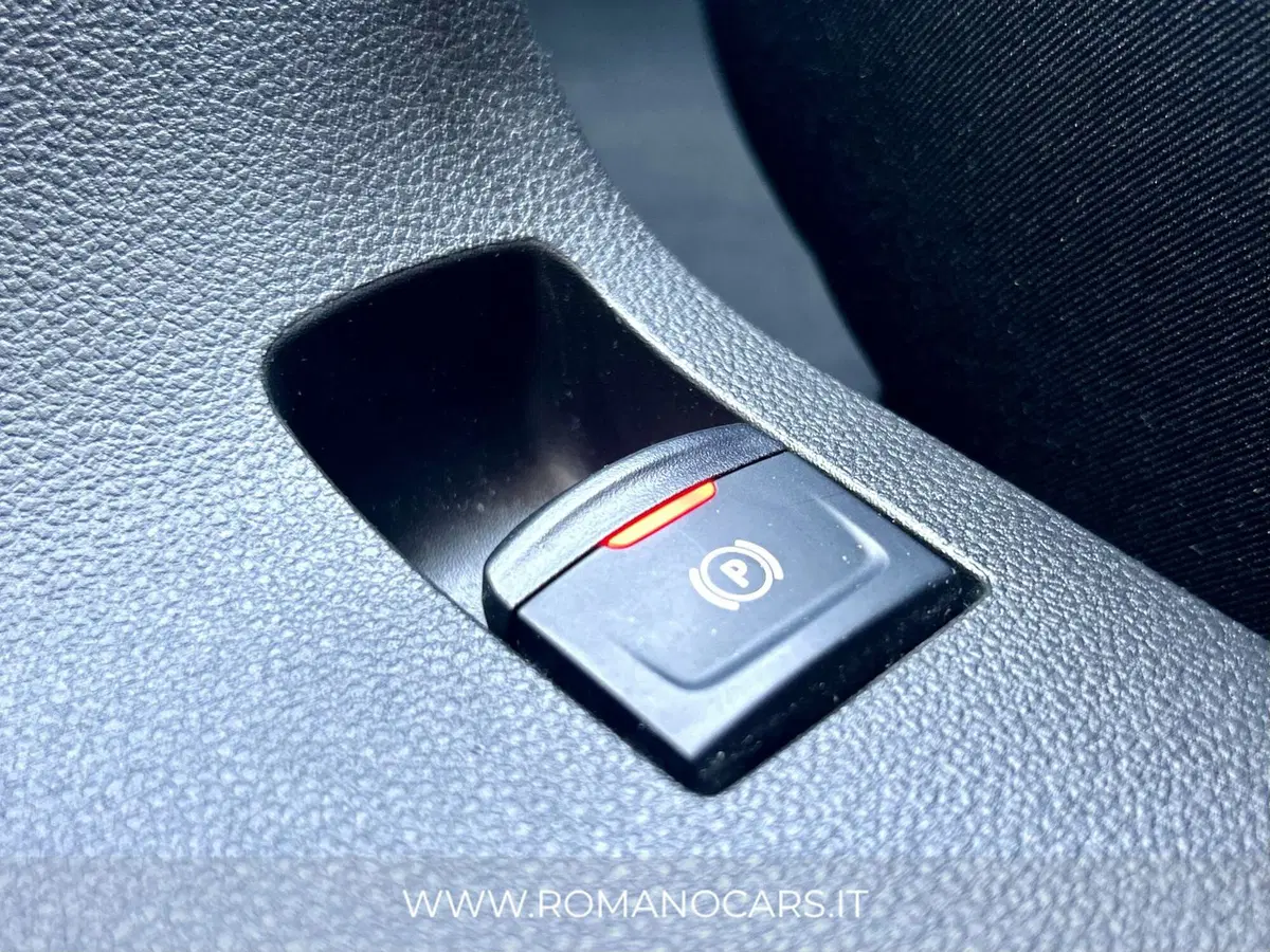 Dacia Sandero usata a Monza e Brianza (14)