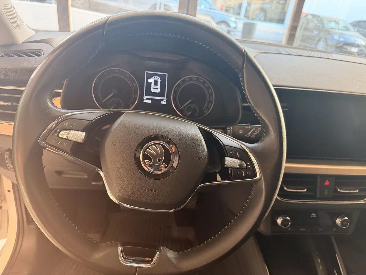 Skoda Kamiq usata a Latina (11)