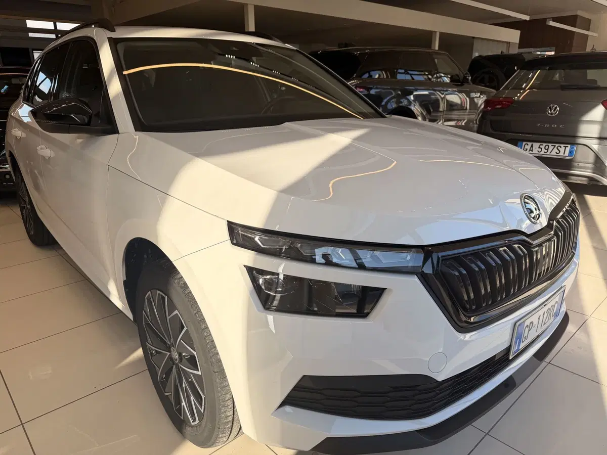 Skoda Kamiq usata a Latina (3)
