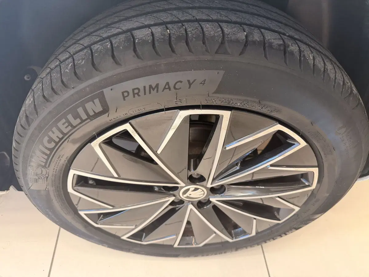 Skoda Kamiq usata a Latina (7)