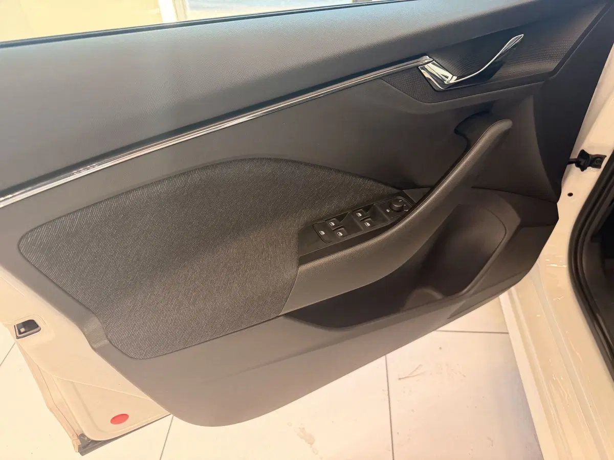 Skoda Kamiq usata a Latina (8)