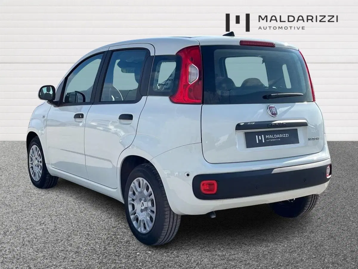 Fiat Pandina nuova a Barletta-Andria-Trani (4)