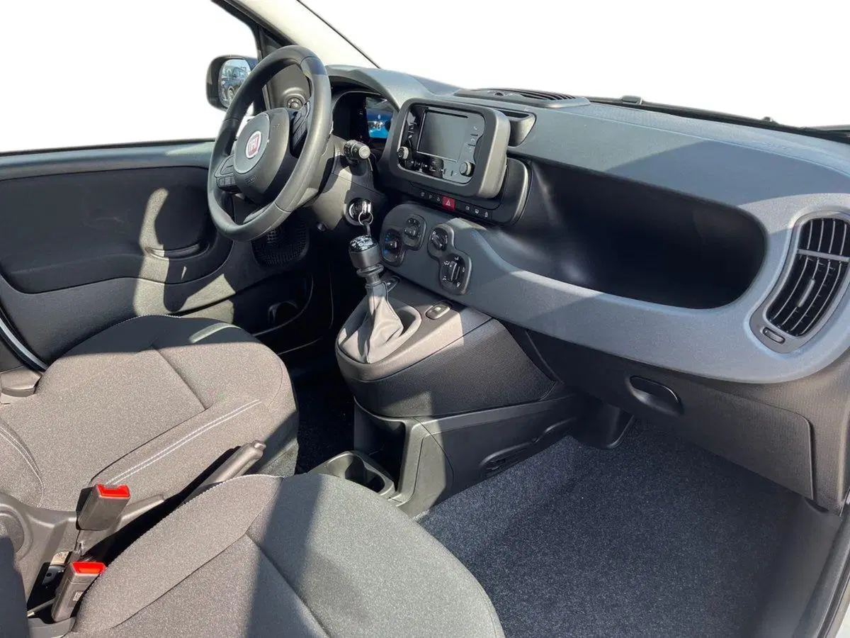 Fiat Pandina nuova a Barletta-Andria-Trani (9)