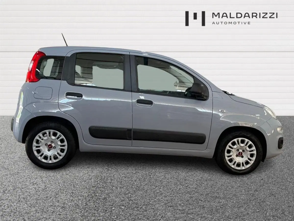 Fiat Panda usata a Bari (5)