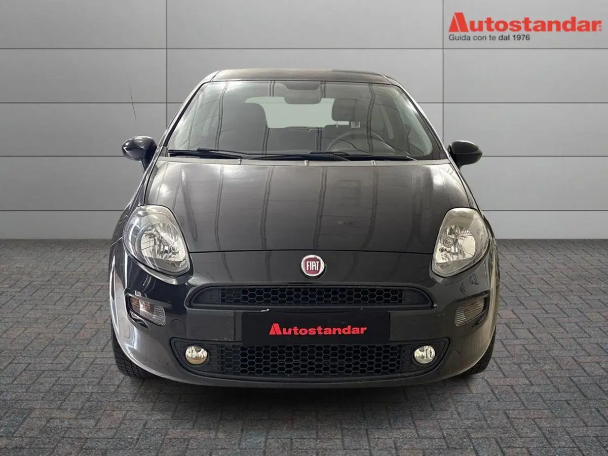 Fiat Punto usata a Torino (2)