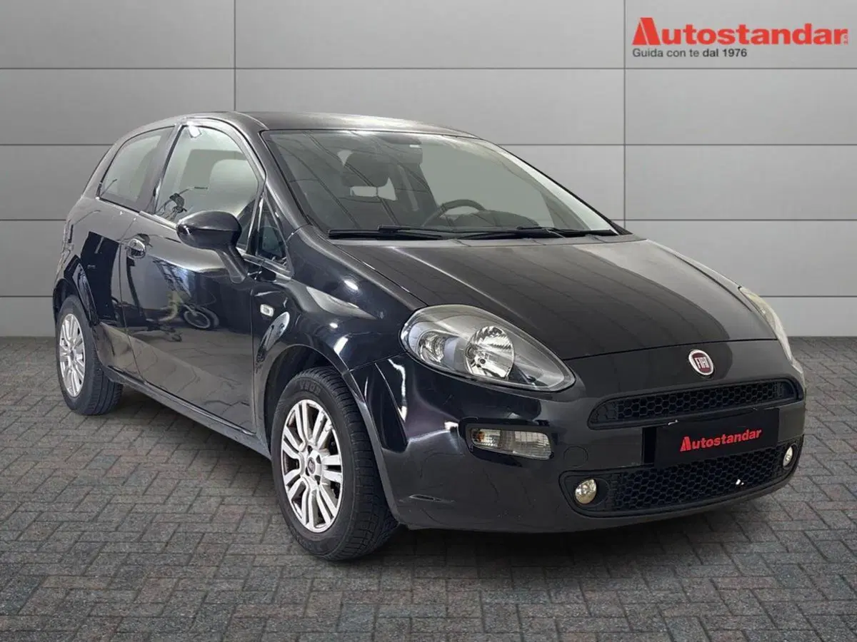Fiat Punto usata a Torino (3)