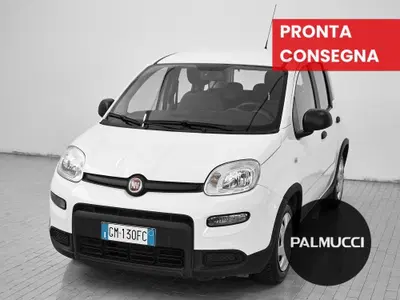 Fiat Panda Cross Cross 1.0 FireFly S&amp;S Hybrid del 2022 usata a Prato