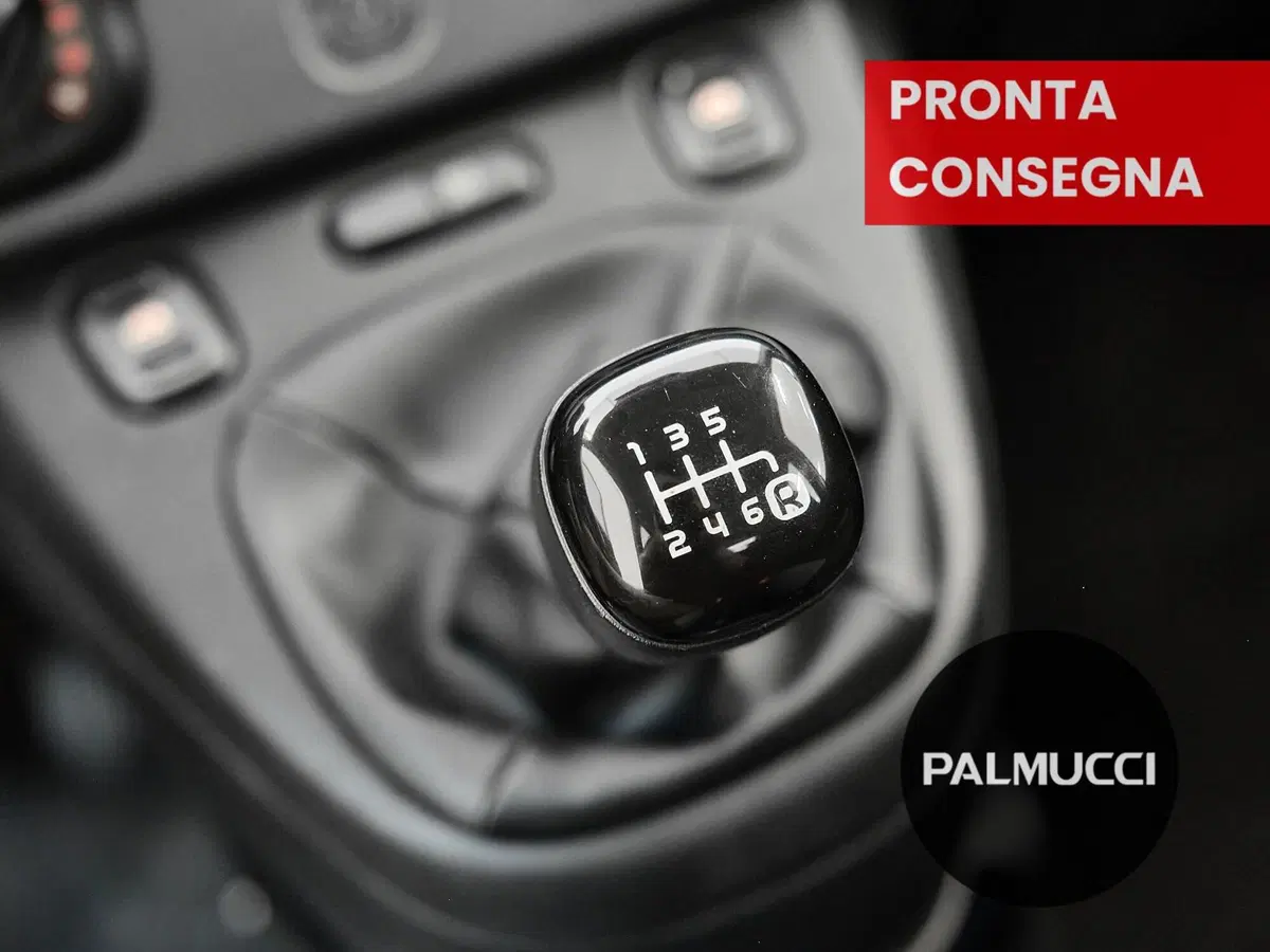 Fiat Panda Cross usata a Prato (11)