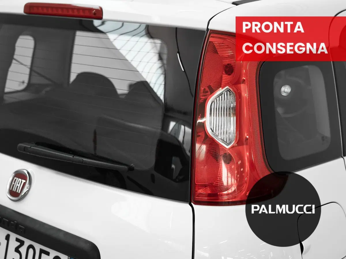 Fiat Panda Cross usata a Prato (12)