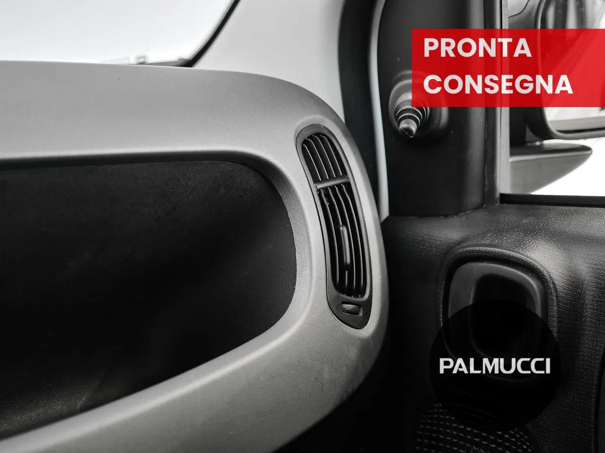 Fiat Panda Cross usata a Prato (15)