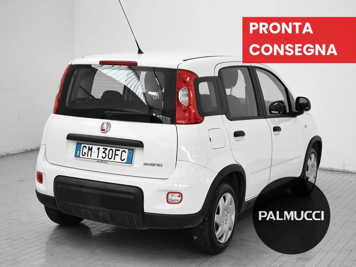 Fiat Panda Cross usata a Prato (3)