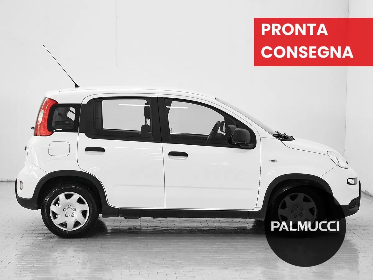 Fiat Panda Cross usata a Prato (4)