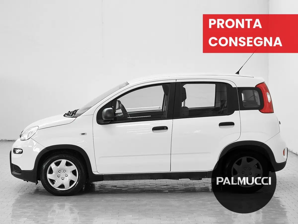 Fiat Panda Cross usata a Prato (5)