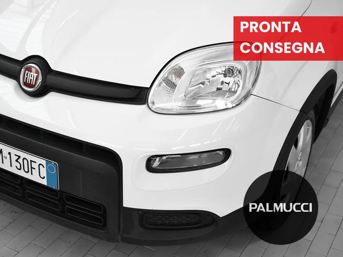 Fiat Panda Cross usata a Prato (6)