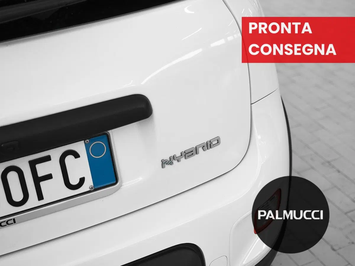 Fiat Panda Cross usata a Prato (7)