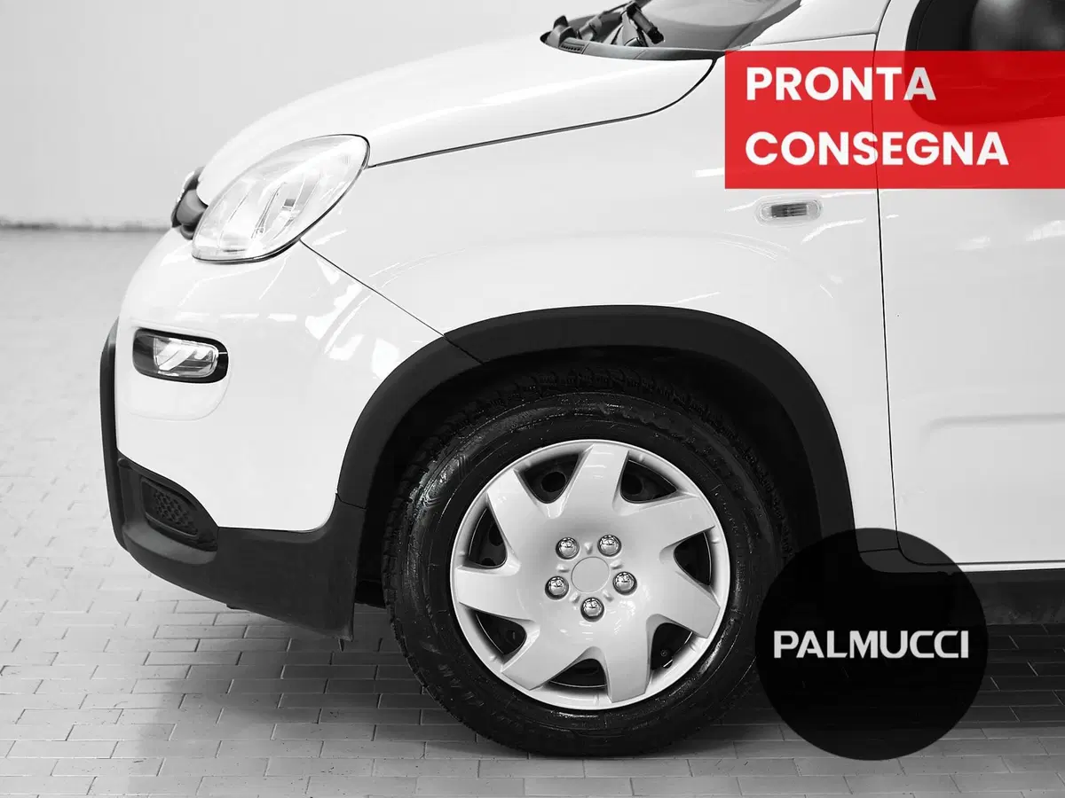 Fiat Panda Cross usata a Prato (8)