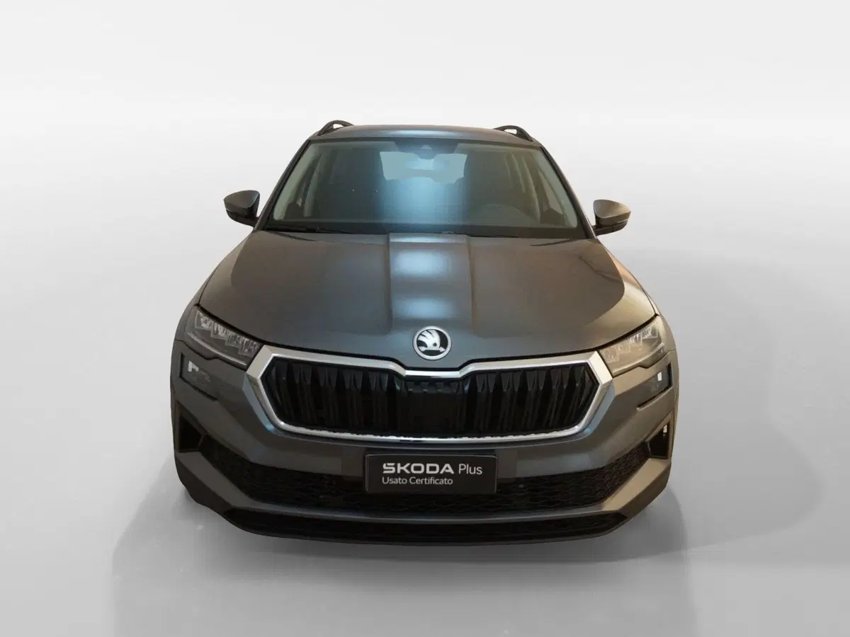 Skoda Karoq usata a Torino (2)