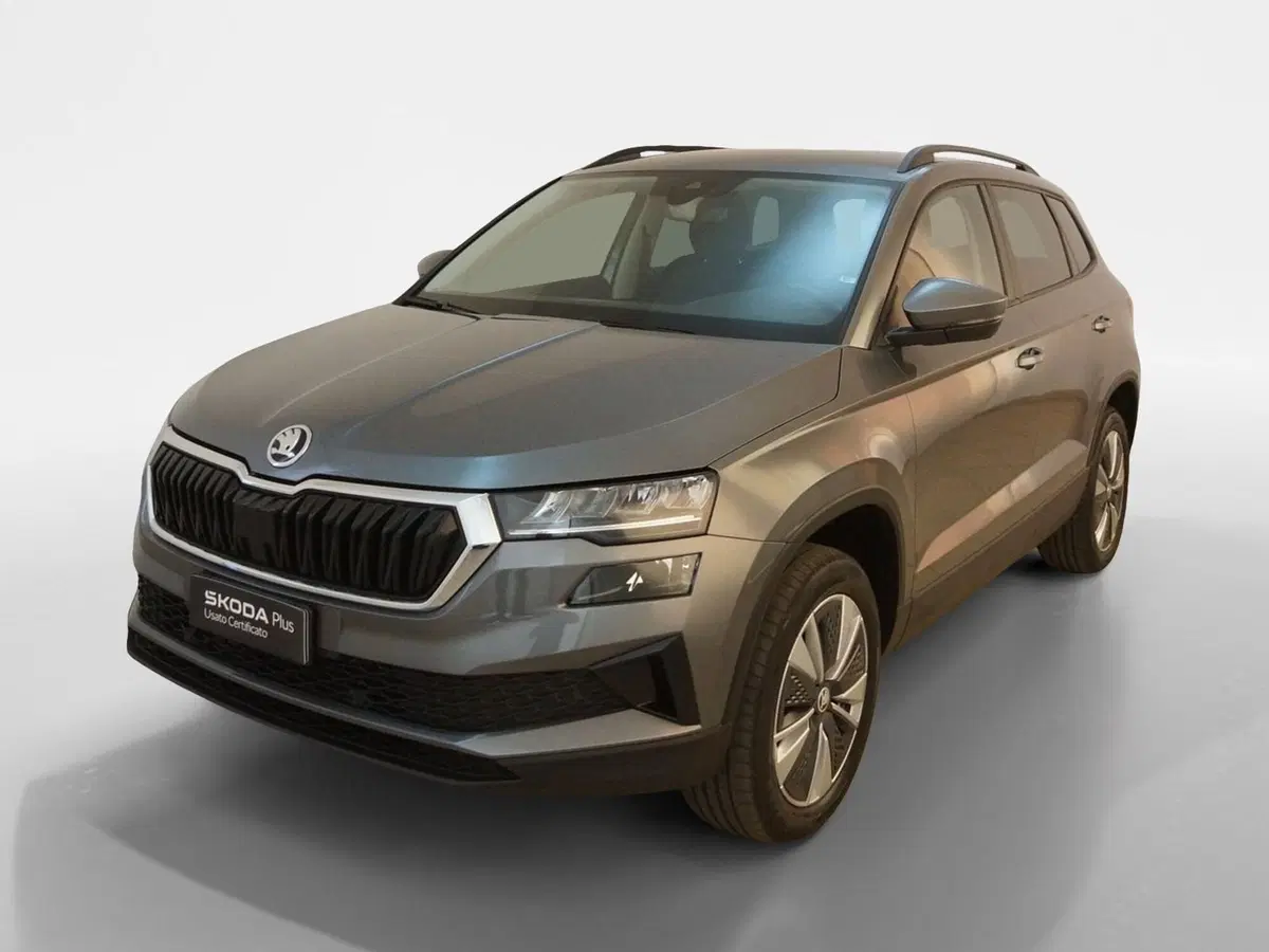Skoda Karoq usata a Torino (3)