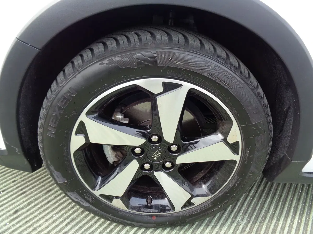 Ford Focus usata a Treviso (6)