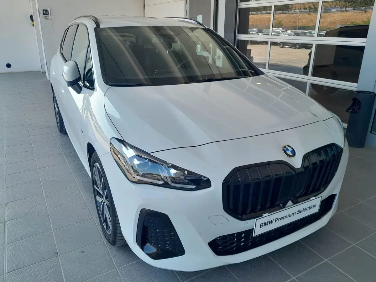 BMW Serie 2 Active Tourer usata a Asti (3)
