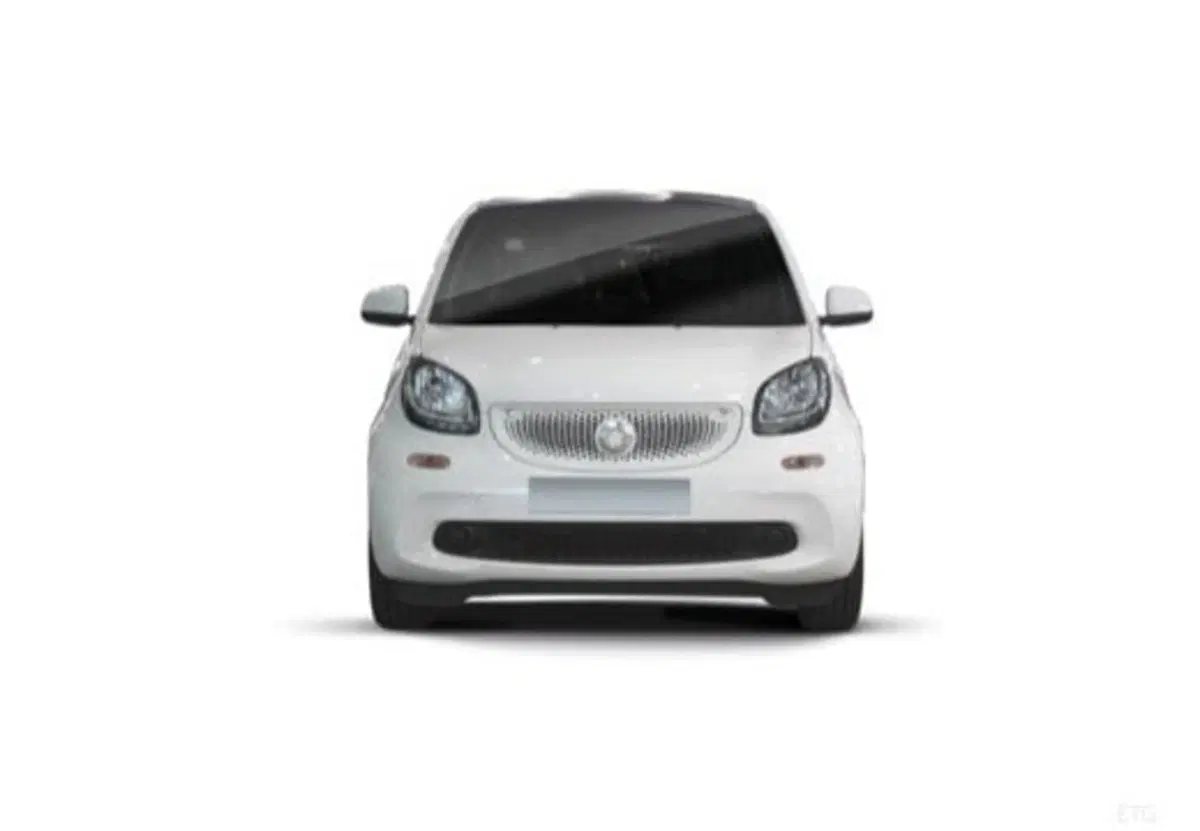 smart Fortwo usata a Palermo (2)