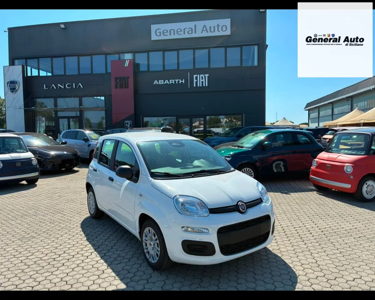 Fiat Pandina usata a Lucca