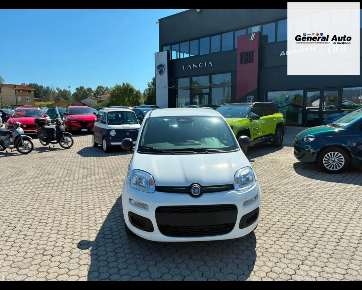 Fiat Pandina usata a Lucca (2)