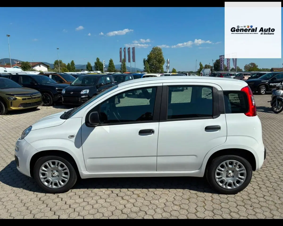 Fiat Pandina usata a Lucca (3)