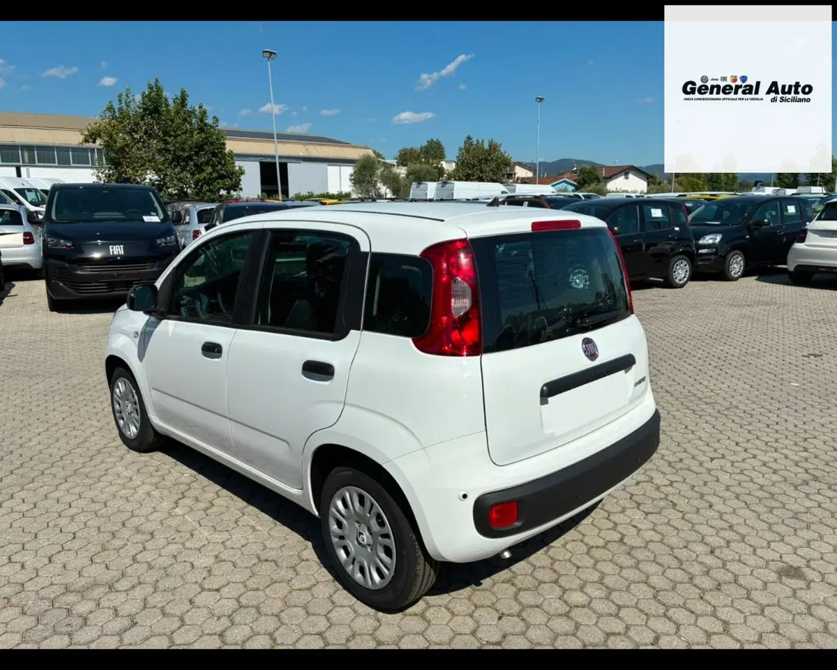 Fiat Pandina usata a Lucca (4)