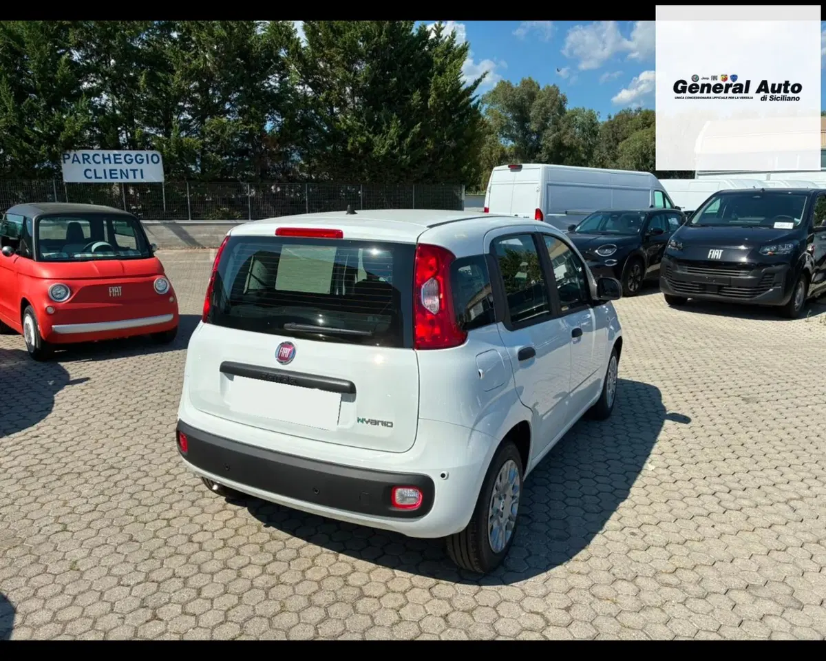 Fiat Pandina usata a Lucca (7)