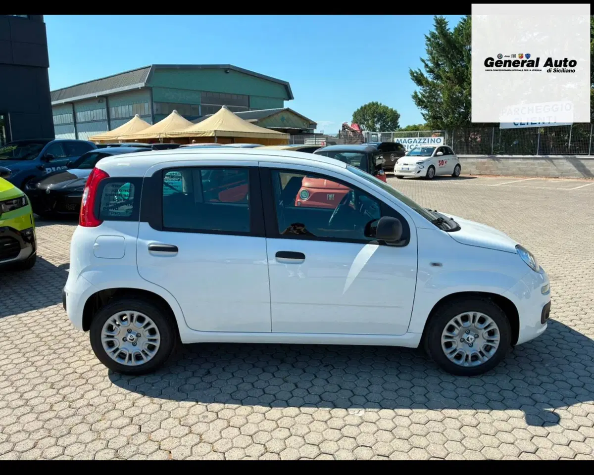 Fiat Pandina usata a Lucca (8)